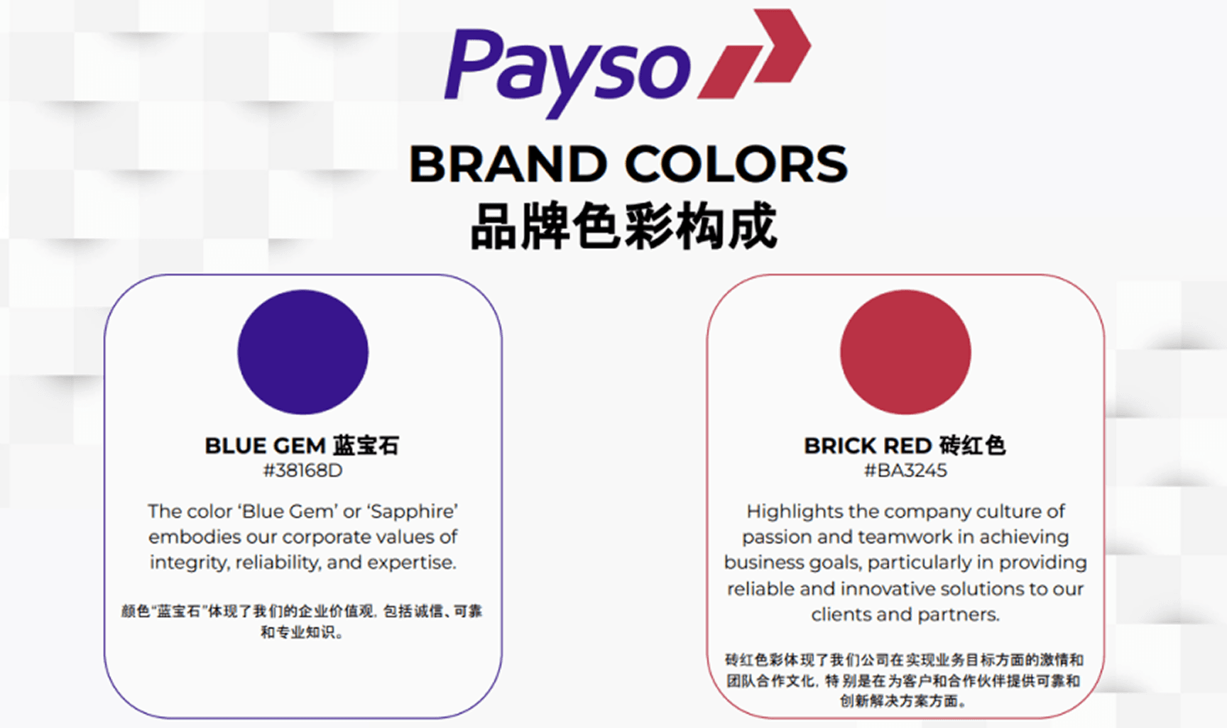 Payso brand color reference